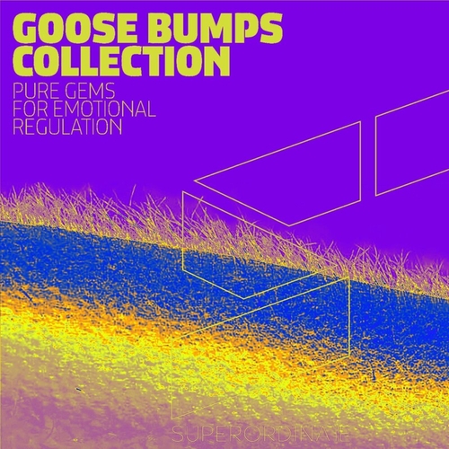 VA - Goose Bumps Collection, Vol. 7 [SUPER376]